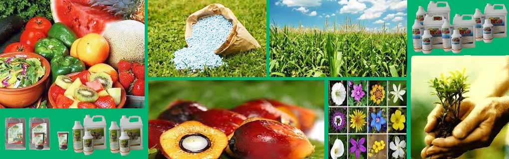 Marketing of organic farming products such as organic fertiliser, vermicompost and pro-biotic products.